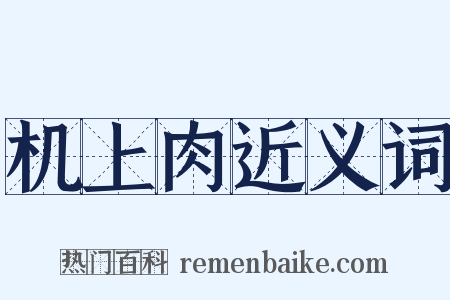 机上肉近义词是什么意思的图片